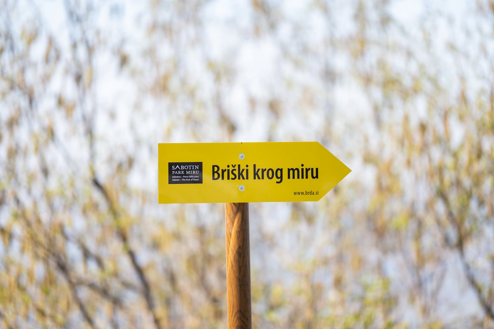 Briški krog miru