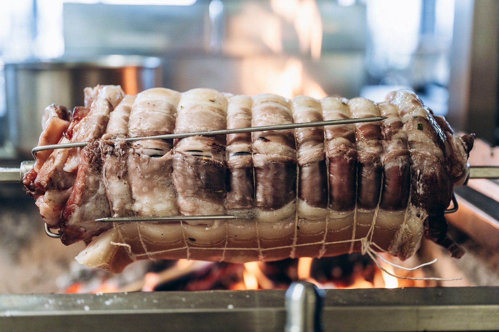 From Tail to Snout Festival