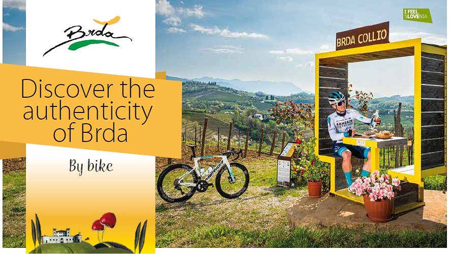 Discover Brda by bike