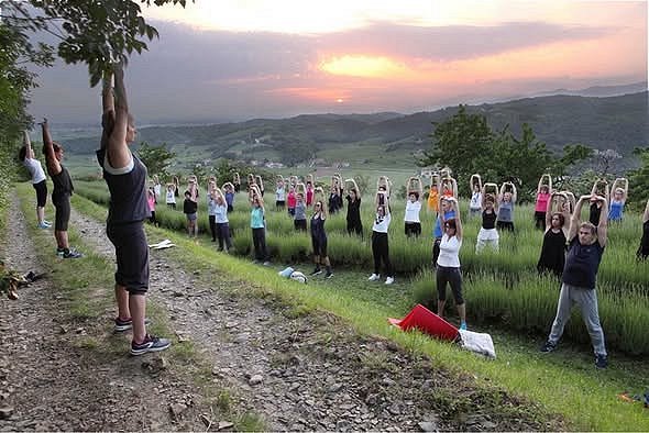 YOGA v sivkinem polju